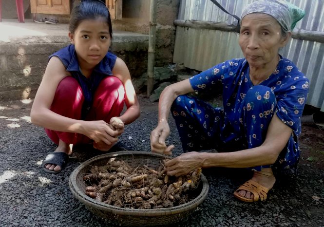 Huyền giúp bà ngoại làm sạch rổ nghệ đem bán để lấy tiền mua sắm đầu năm học - Ảnh: QUỐC NAM