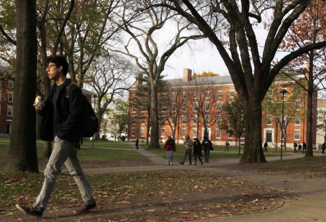 Đại học Havard, Mỹ - Ảnh: Reuters