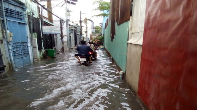 Trời không mưa, nhưng hẻm 28 Tam Bình (P.Hiệp Bình Chánh, Q.Thủ Đức, TP.HCM) vẫn bị ngập nước do nắp cống qua đê Rạch Võ bị rác chèn vào khi triều lên - Ảnh: N.V.THƯỞNG