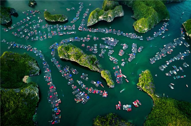 Làng nổi trên vịnh Lan Hạ (vịnh Hạ Long)