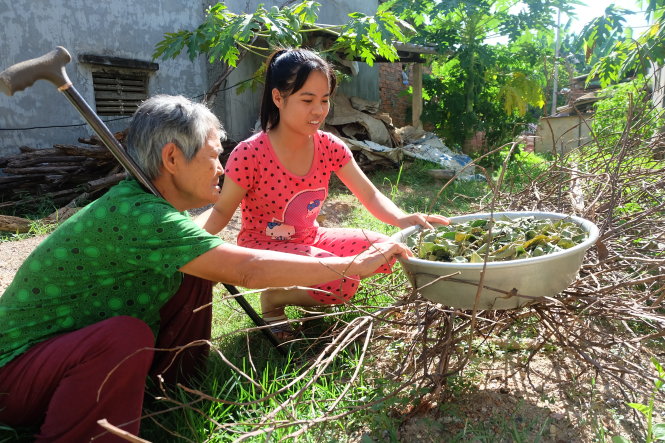 Liễu và bà ngoại hong khô mớ lá gai để bán cho người làm bánh ít - Ảnh: TRẦN MAI