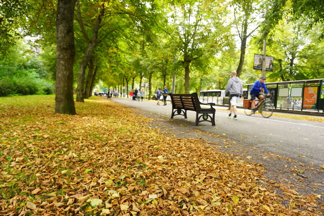 Mùa thu ở Stockholm cũng như nhiều thành phố khác ở châu Âu đôi khi khá buồn. -Ảnh: c.n.