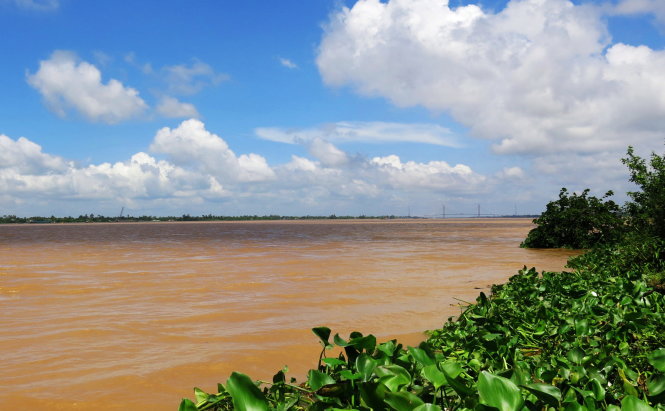 1b. Tiền giang nhìn từ Mỹ Xương rạng rỡ mùa nước son, xa xa là cầu Cao Lãnh đang chờ hợp long.