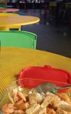 Bạn có thường mang cơm nhà theo ăn khi đi làm hay đi học không?