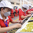 Doanh nghiệp nhỏ 'mắc kẹt' giữa áp lực chuyển đổi xanh