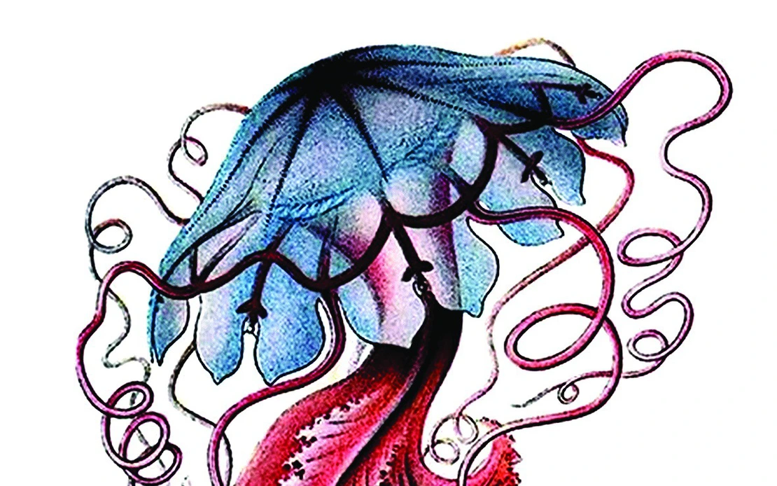 Tiểu thuyết Trung Quốc hiện đại: Đảo và người