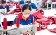 Một doanh nghiệp dệt may gần 40 năm tuổi ngừng gia công, chìm trong khó khăn