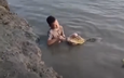 Thực hư clip cậu bé đánh răng cho cá sấu đang viral