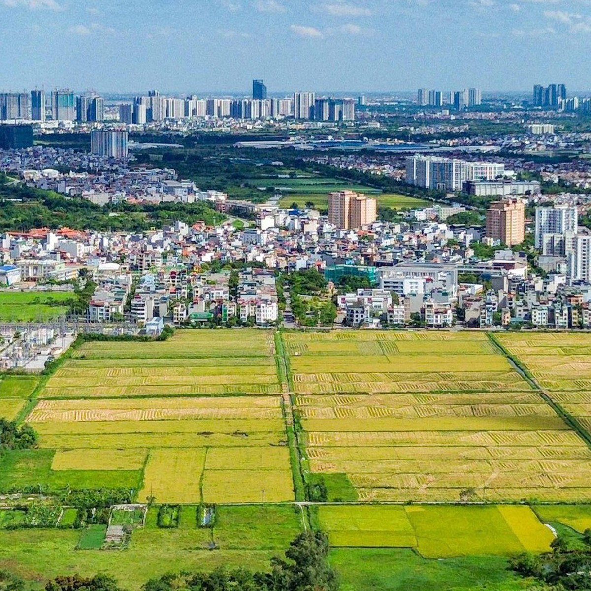 Bộ Nội vụ đề xuất chưa xem xét, miễn kỷ luật với một số vi phạm đất đai cũ
