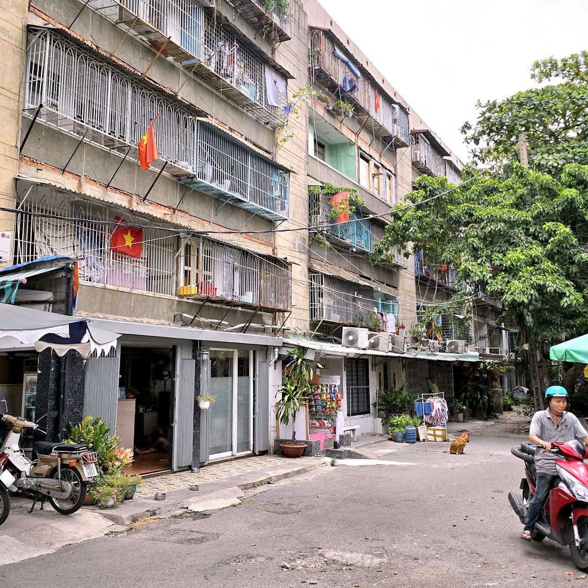UBND TP.HCM 'thúc' hoàn thành kiểm định chung cư cũ cuối tháng 7-2026