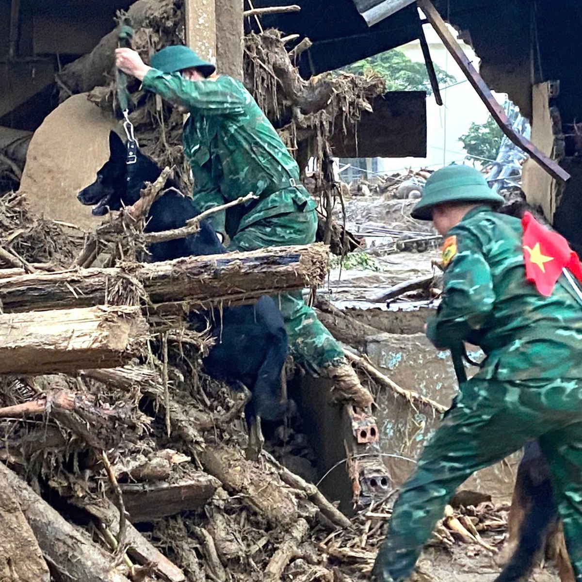 Lũ quét ở Lai Châu: Triển khai chó nghiệp vụ tìm kiếm 4 người mất tích