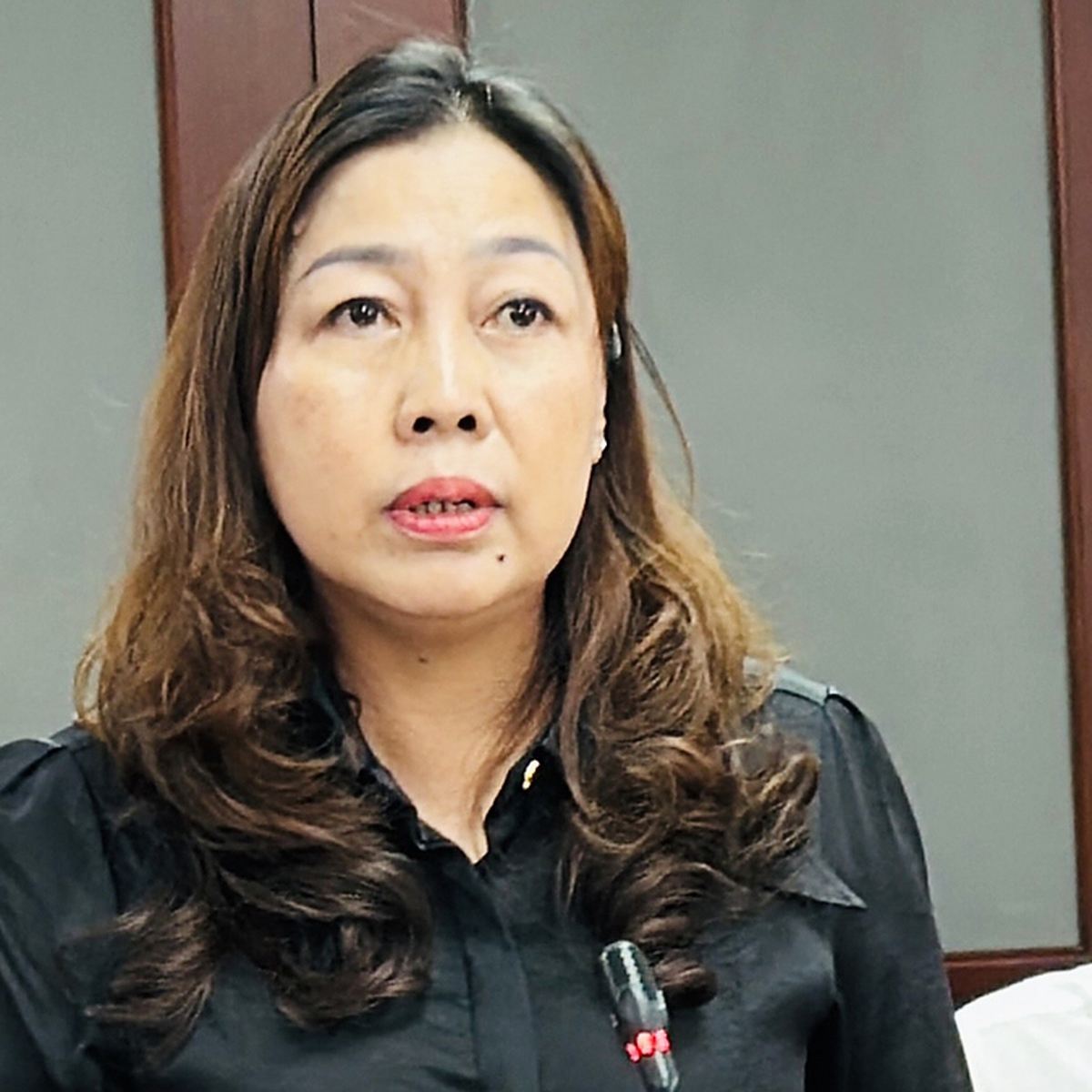 Á hậu say xỉn ném đá vào nhà dân, vương miện 'toàn là kim cương giả': Sở Văn hóa nói gì?