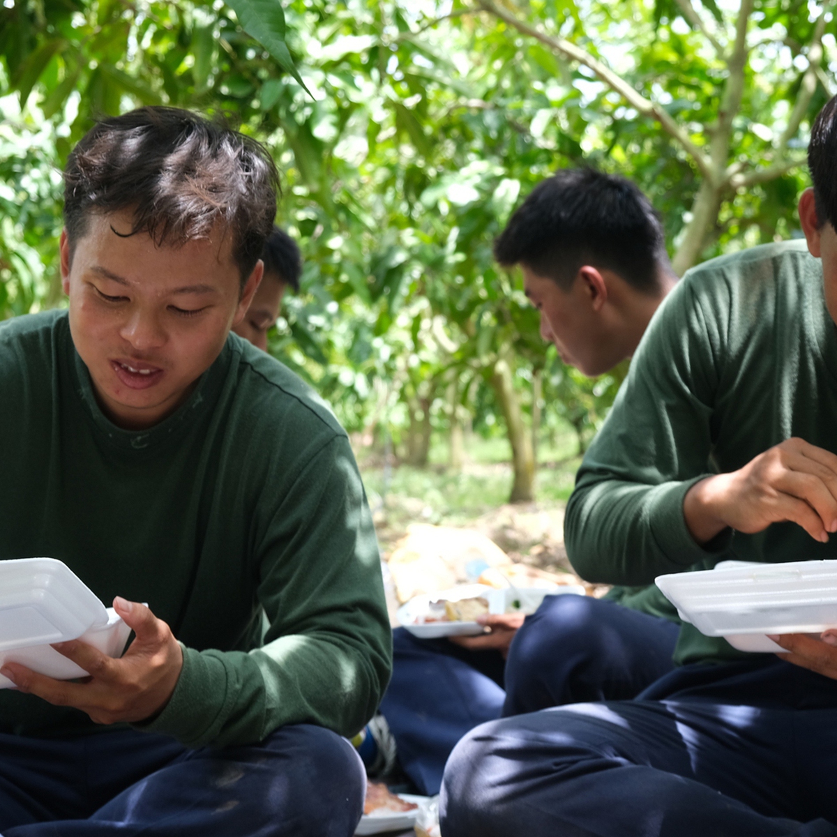 Bữa cơm trưa dưới tán xoài Cao Lãnh của chiến sĩ Đội K91