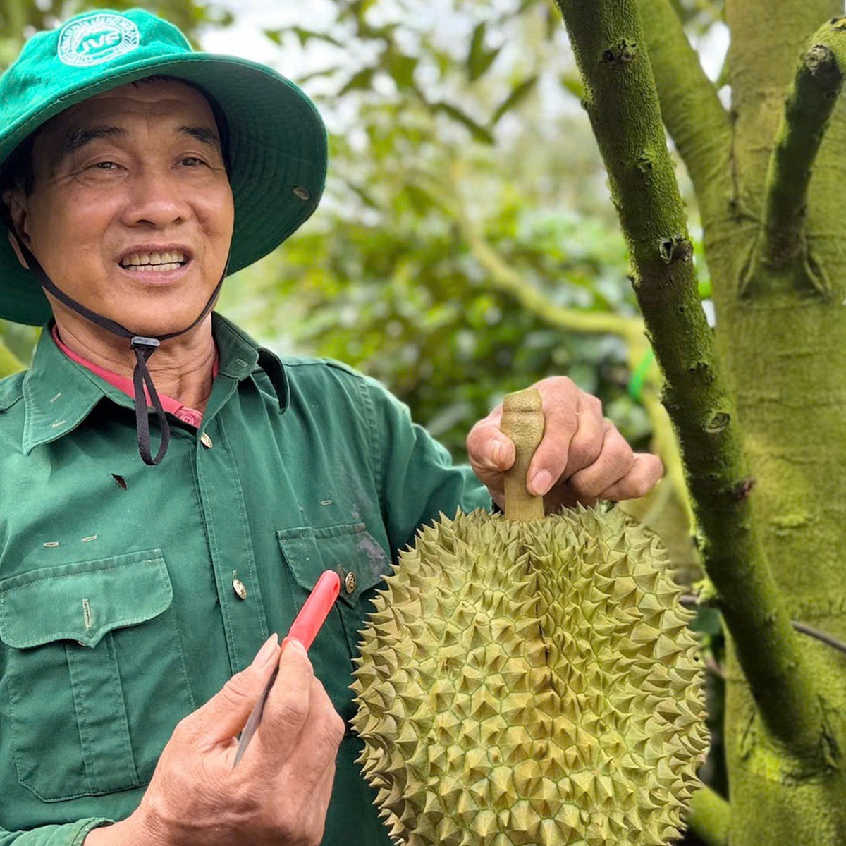 Bộ Nông nghiệp và Môi trường đàm phán với Trung Quốc thống nhất tiêu chuẩn kiểm nghiệm sầu riêng