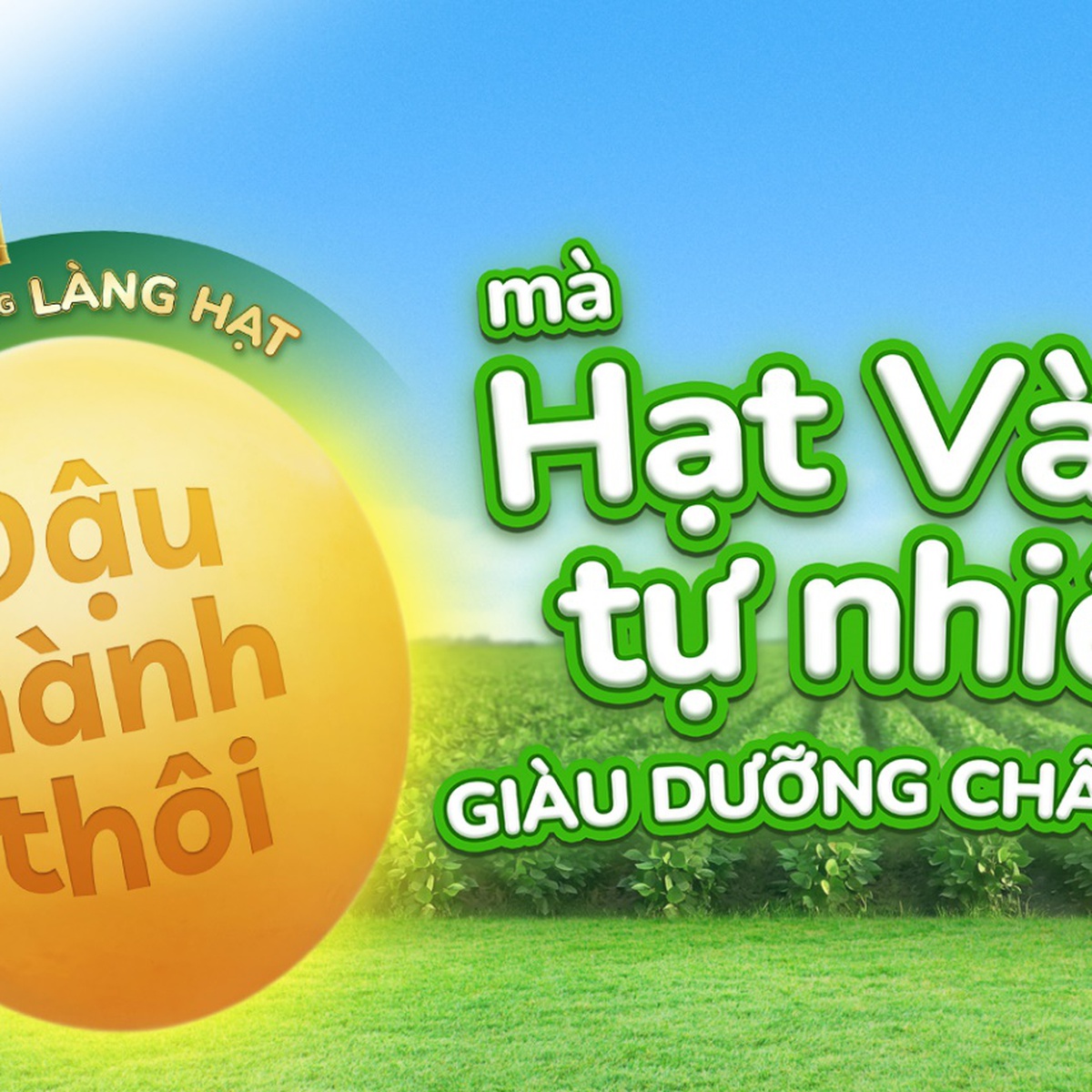 Vì sao giới khoa học không ngừng nghiên cứu về ‘hạt vàng tự nhiên’ đậu nành?