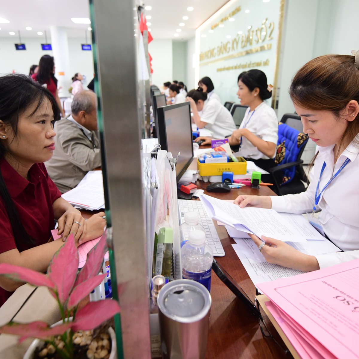 Chính phủ yêu cầu cắt giảm thủ tục xác nhận, xác minh trong giải quyết hồ sơ