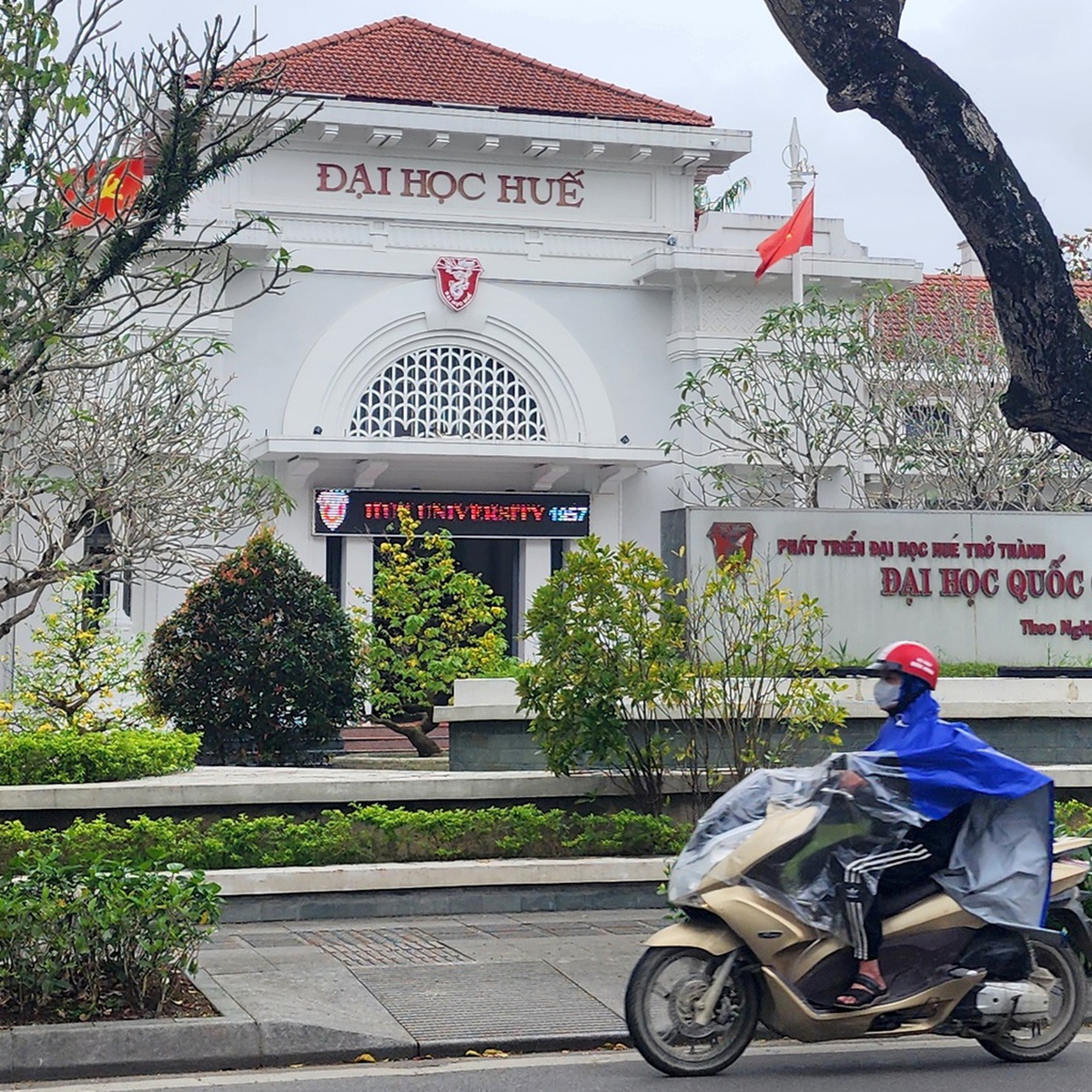 Đại học Huế rà soát việc xét tuyển đại học bằng chứng chỉ IELTS
