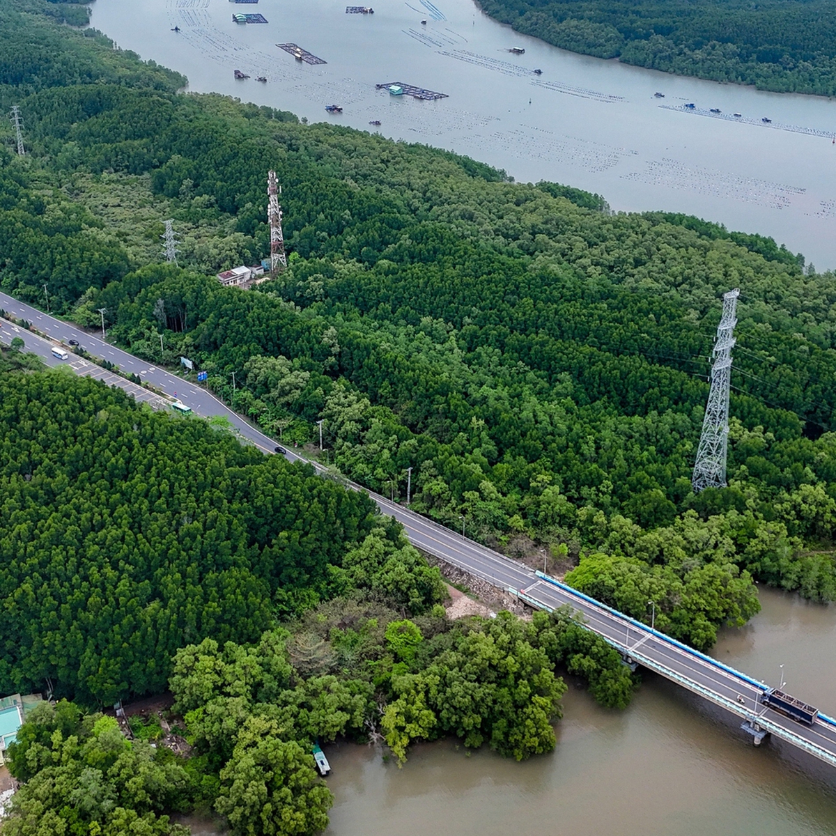 TP.HCM tầm nhìn đến năm 2045 có môi trường sống trong lành, phát thải ròng bằng 0