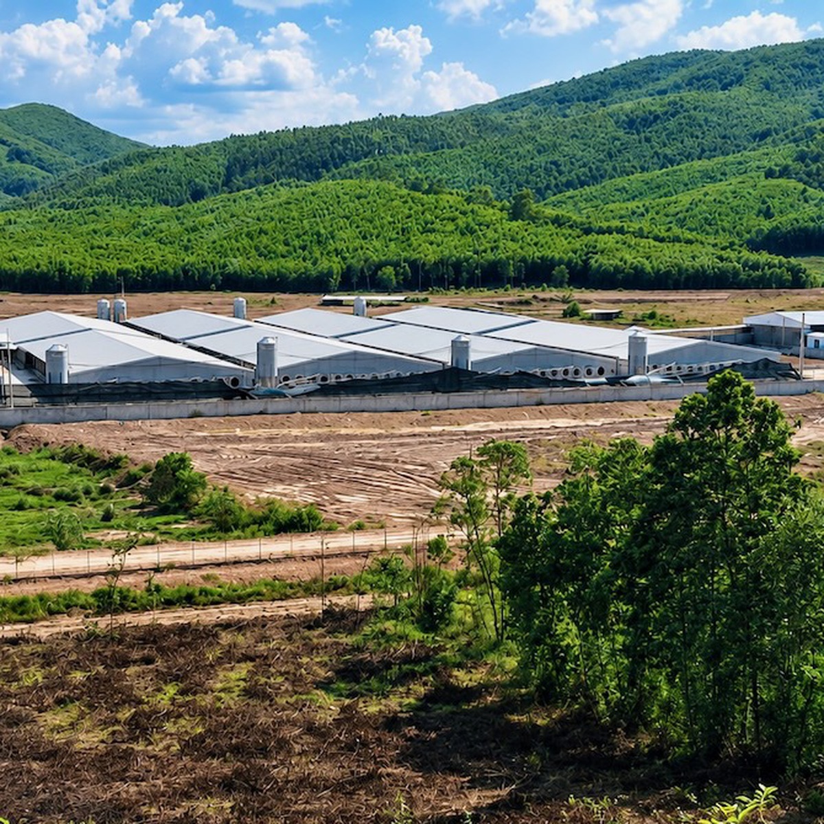 Mùi hôi từ trại heo 'tra tấn' người dân: Phạt chủ cơ sở 180 triệu đồng