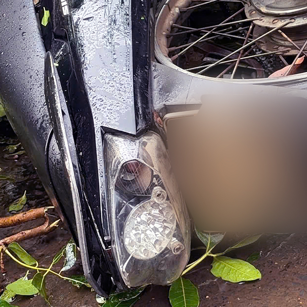 Nam thanh niên 18 tuổi lên Đắk Lắk học nghề bị cây ngã đè đã qua đời