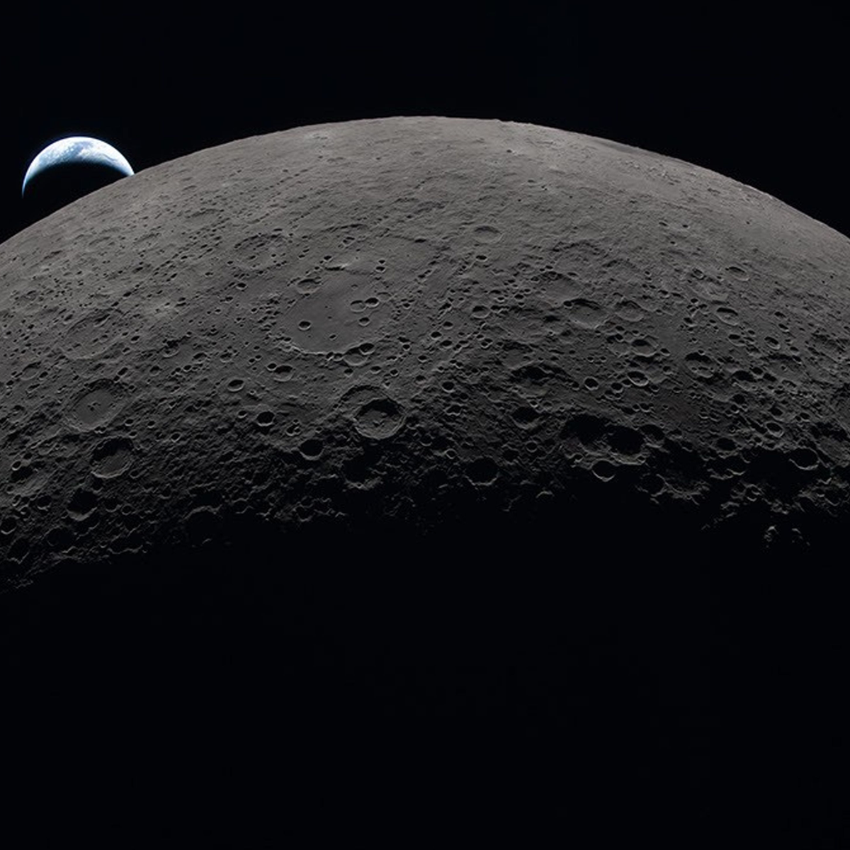 NASA phát hiện nấm, vi khuẩn Trái đất có thể tồn tại trên Mặt trăng
