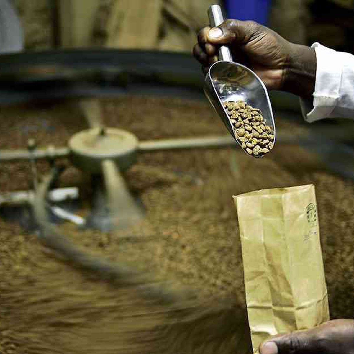 Lối đi riêng của Robusta Ấn Độ