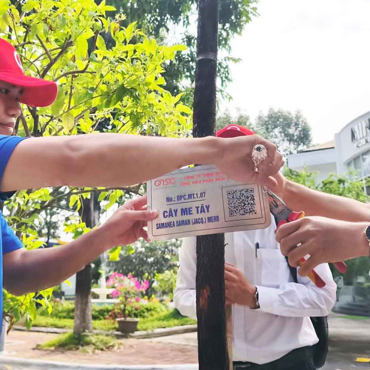 Công viên phần mềm Quang Trung đưa gần 1.800 cây xanh lên bản đồ số để quản lý
