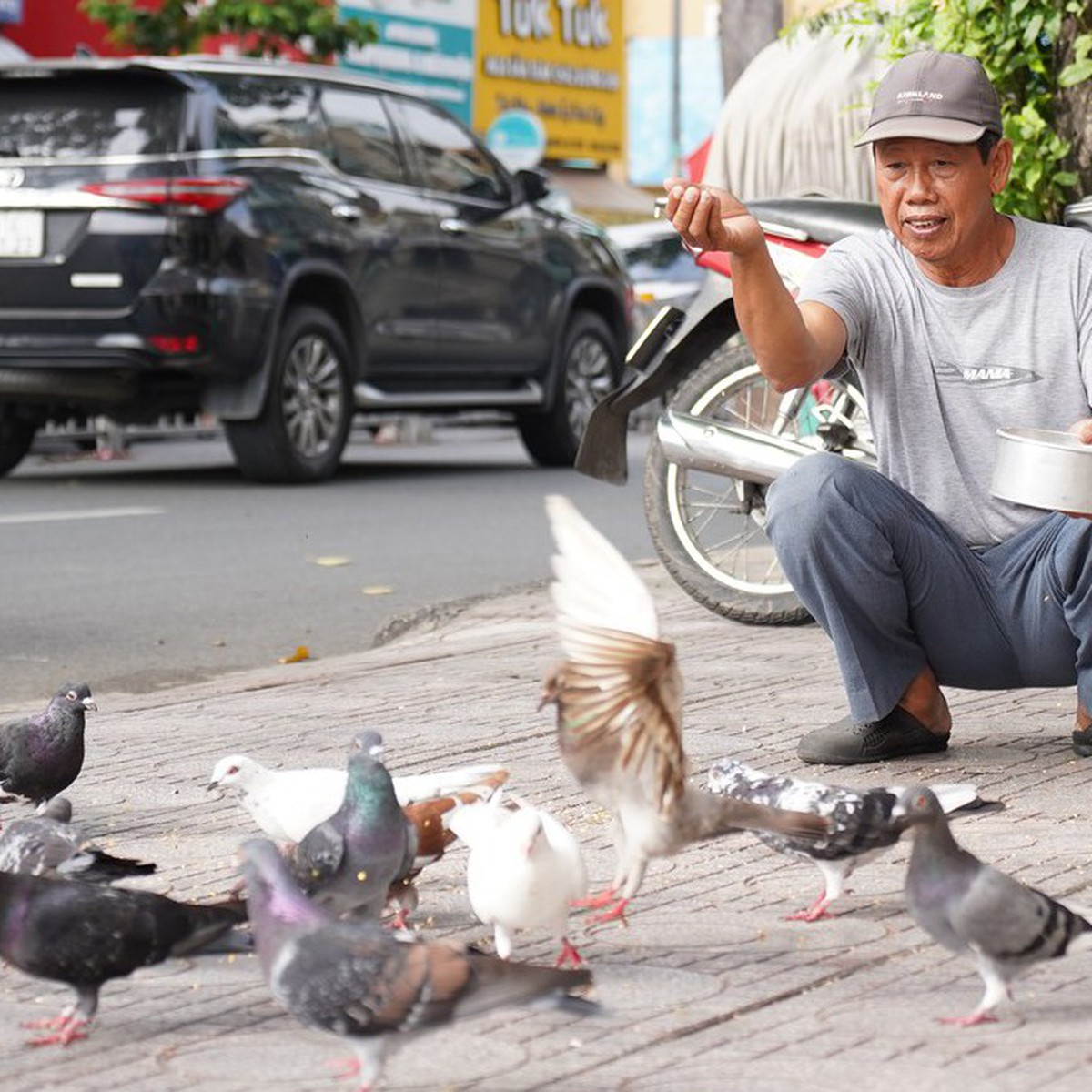 Người cựu binh hơn 30 năm ‘đãi tiệc’ đàn bồ câu giữa lòng TP.HCM