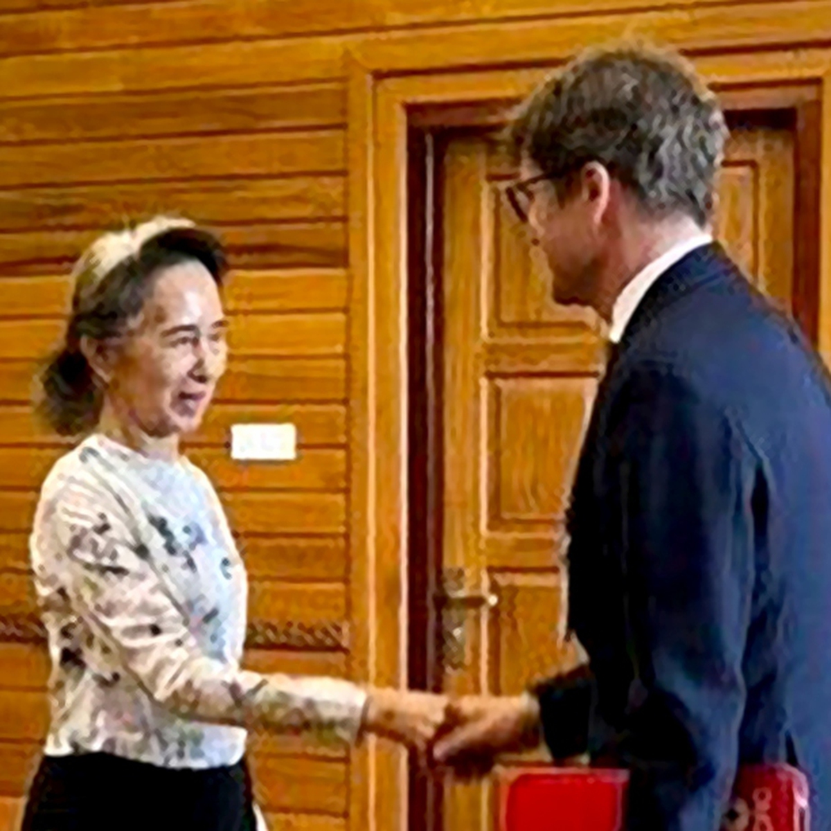 Bà Aung San Suu Kyi tái xuất, gặp đại diện Hội Chữ thập đỏ quốc tế