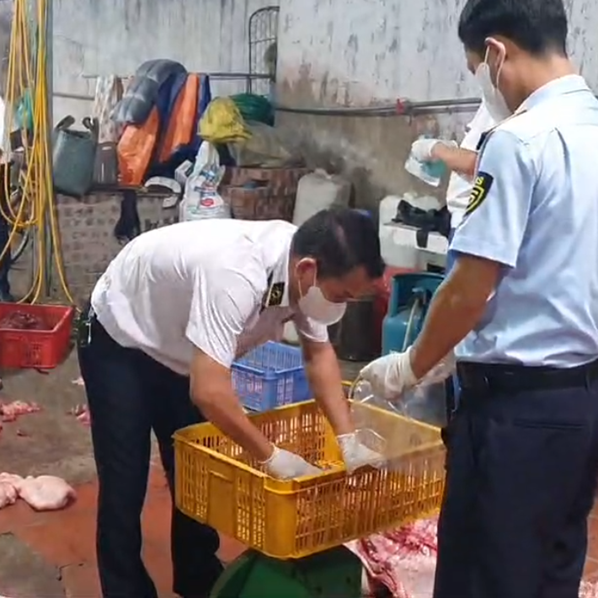 Chuyển cơ quan điều tra vụ gần 1 tấn thịt heo nghi nhiễm dịch tả heo châu Phi
