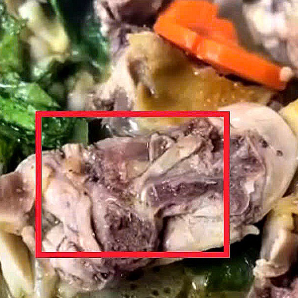 Phạt 27 triệu đồng cơ sở nấu ăn có giòi trong món gà