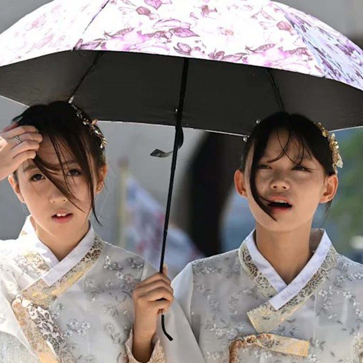 Hàn Quốc: 16 người chết do nắng nóng, Seoul ban bố cảnh báo chưa từng có