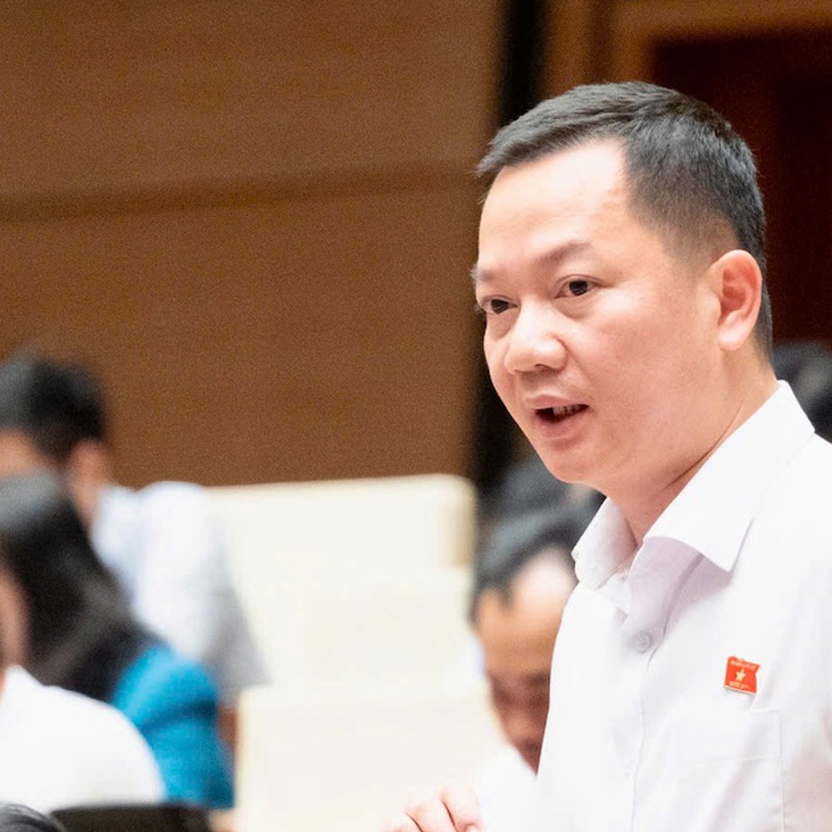 Đại biểu Quốc hội đề xuất đưa kim cương vào ngành nghề kinh doanh có điều kiện