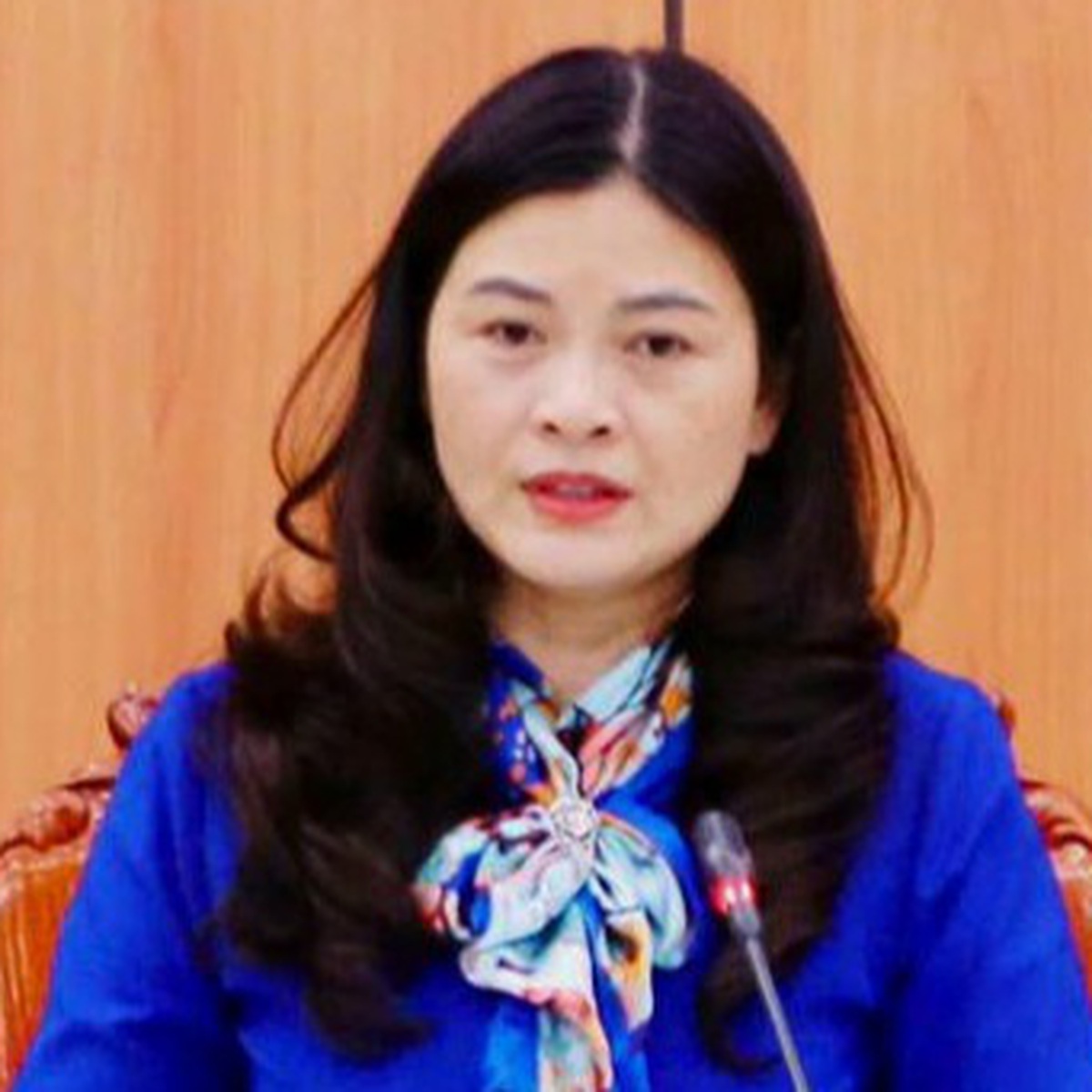 Bà Vương Ngọc Hà thôi phụ trách lĩnh vực giáo dục tỉnh Tuyên Quang