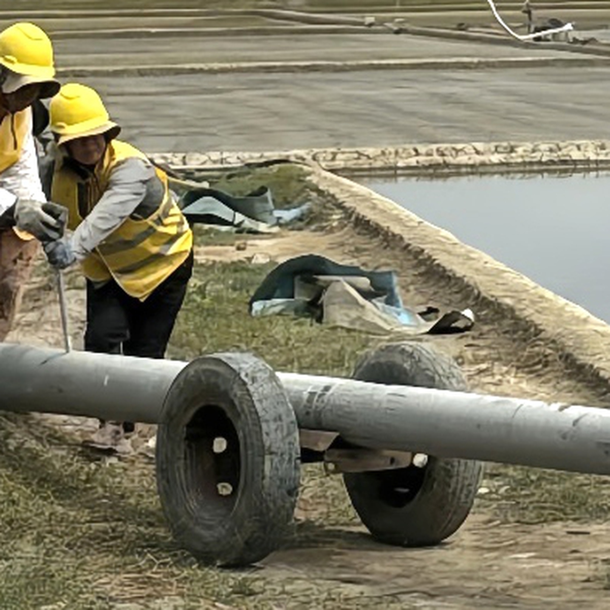 Những người vác bình minh