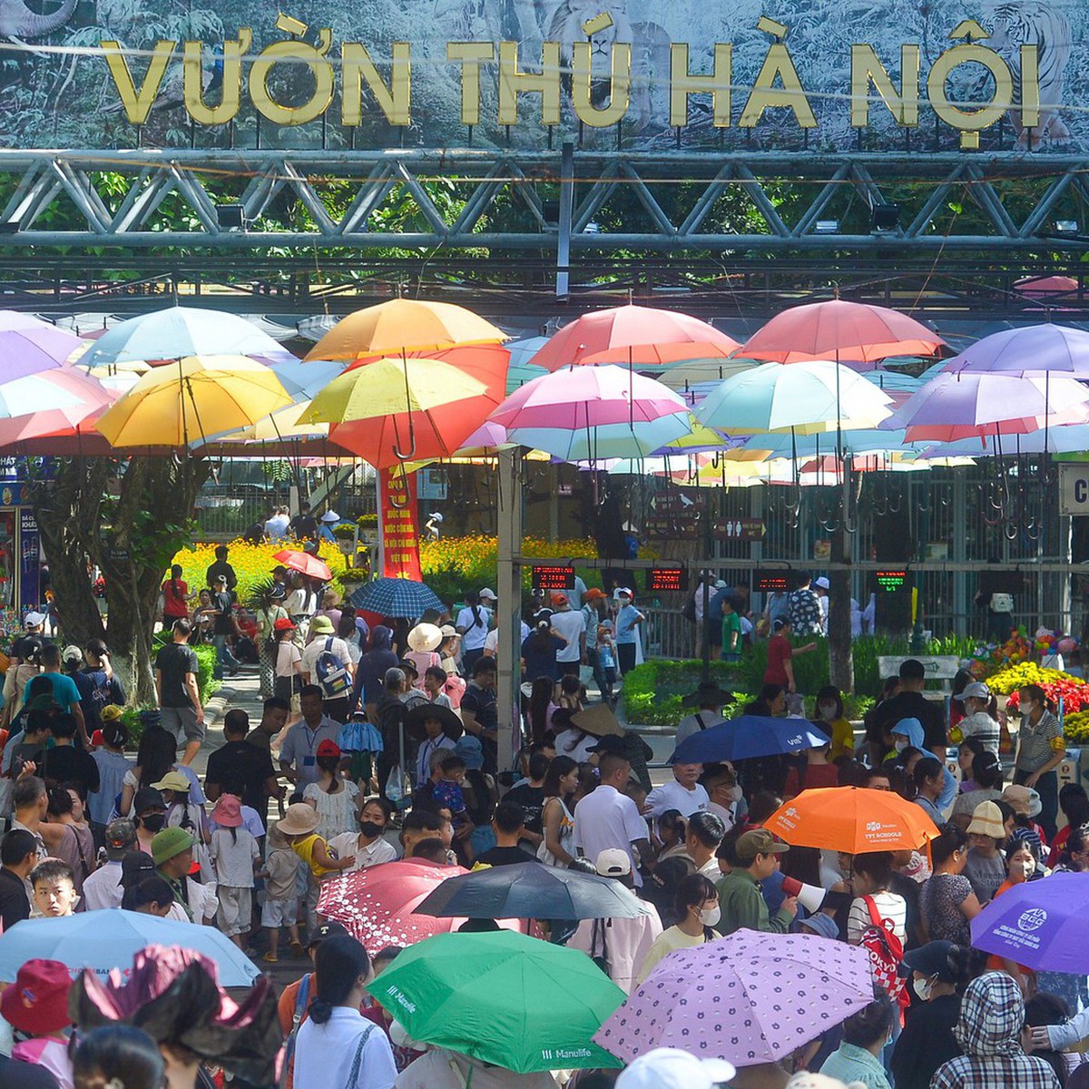 Vườn thú Hà Nội 'hút' khách, đông đảo người dân đến chơi dịp lễ
