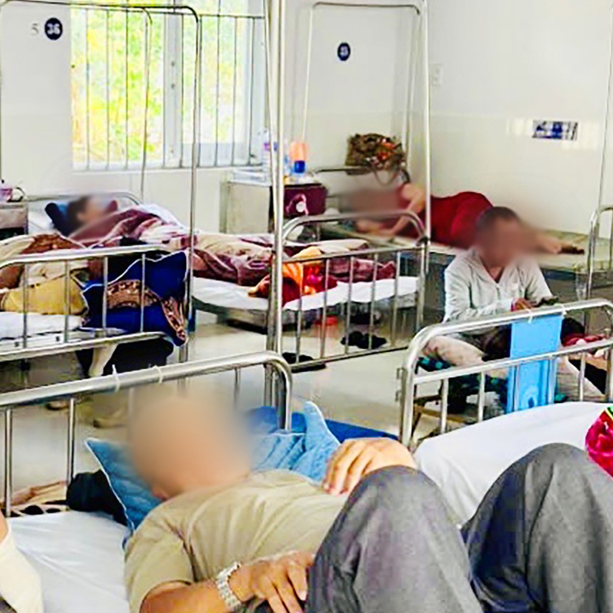 Đề nghị phạt chủ cơ sở bánh mì tại Gia Lai 100 triệu đồng