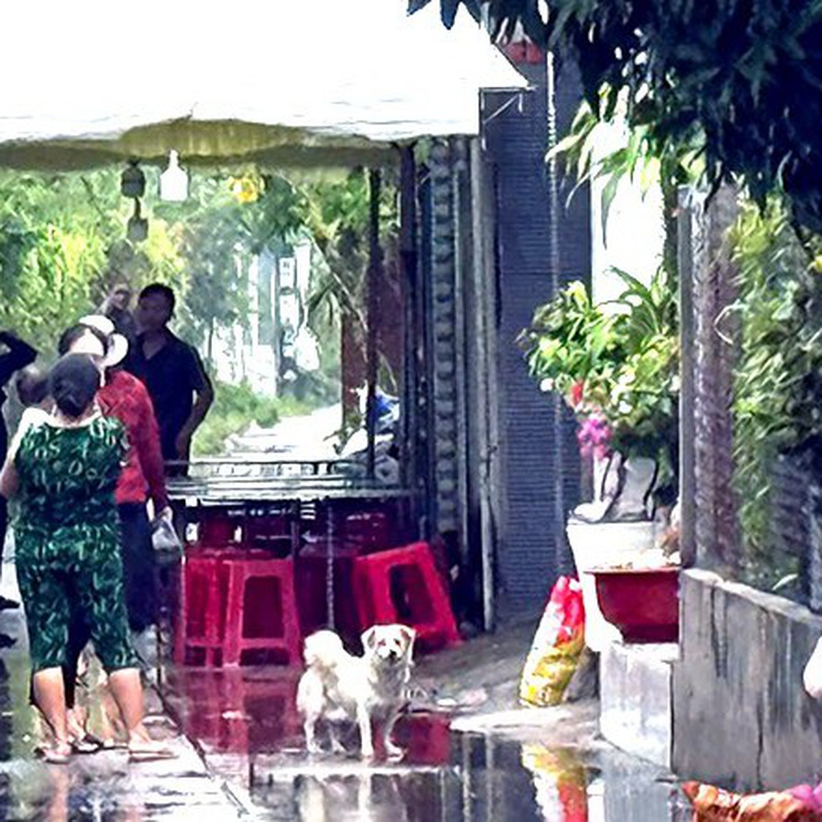 Vụ án mạng ở Phước Hải: Nguyên nhân ban đầu nghi do ghen tuông