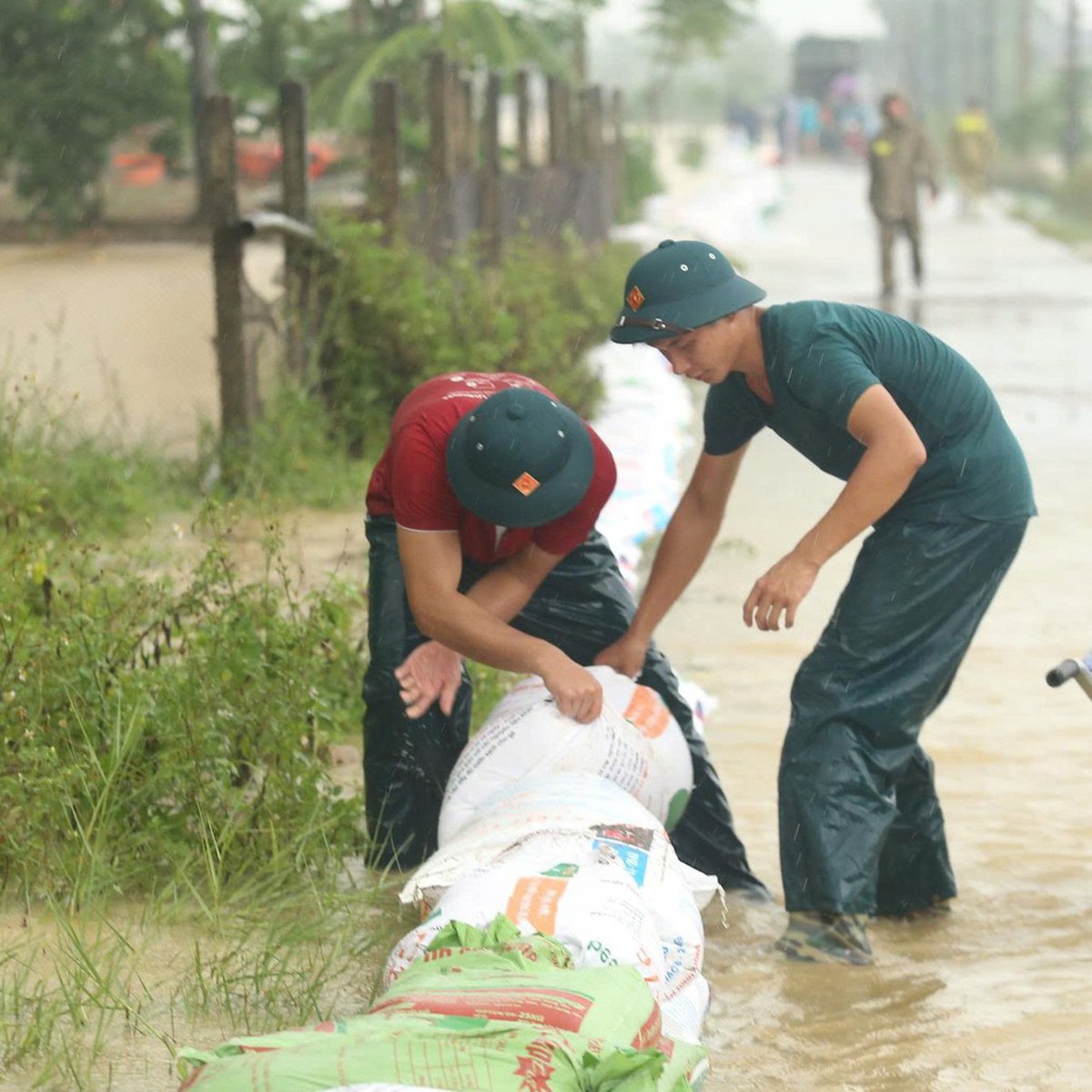 Lũ sông Bùi vượt báo động 3, hàng trăm chiến sĩ và dân dầm mưa đắp đê chống lũ ngoại thành Hà Nội