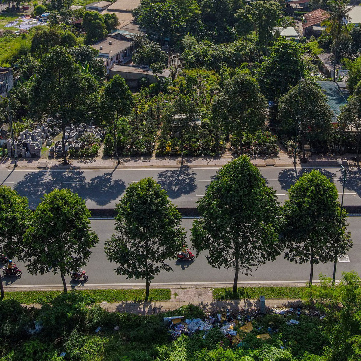 Di dời 186 cây xanh làm nút giao Phạm Văn Đồng - vành đai 2 TP.HCM