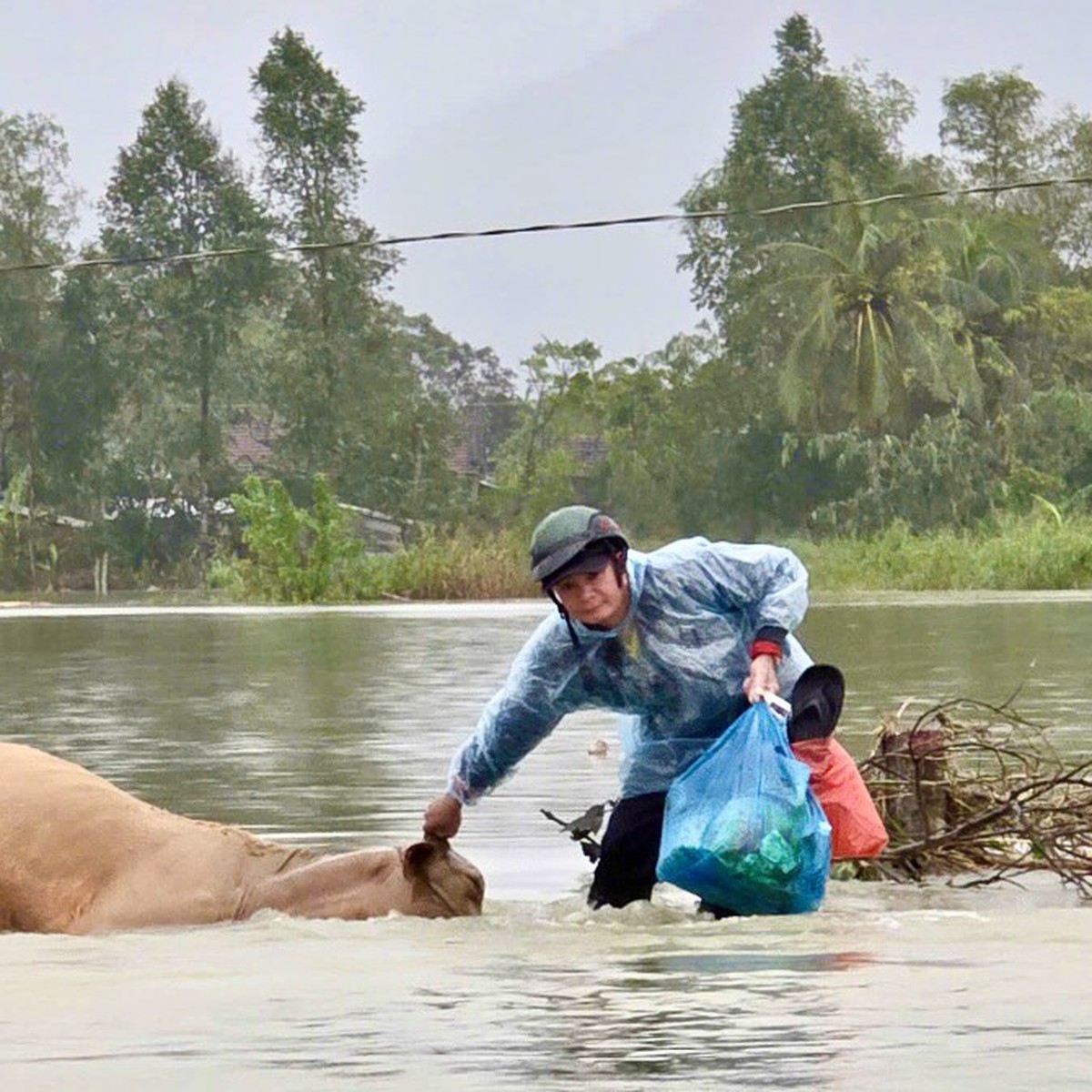 Bí thư Tỉnh ủy Đắk Lắk: Thủy điện xả lũ phải gửi cảnh báo trực tiếp đến người dân trước nửa ngày