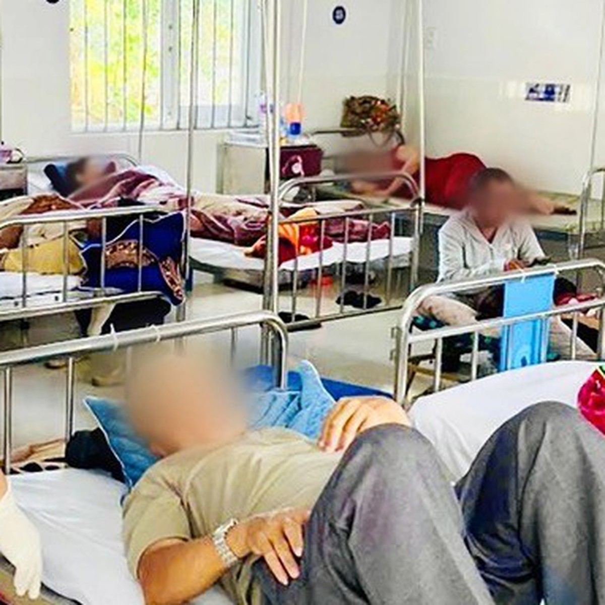 254 người ngộ độc bánh mì tại Gia Lai: phạt 100 triệu đồng, buộc lo viện phí cho thực khách