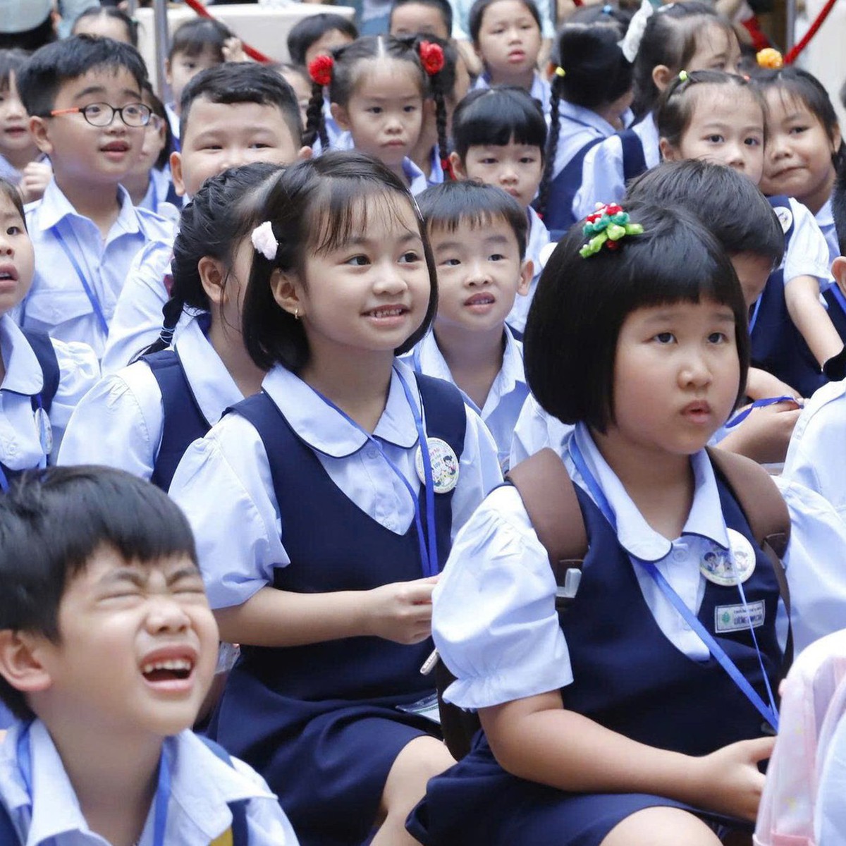 Học sinh được nghỉ tối đa mấy buổi trong năm học, tiểu học có được nghỉ nhiều hơn?