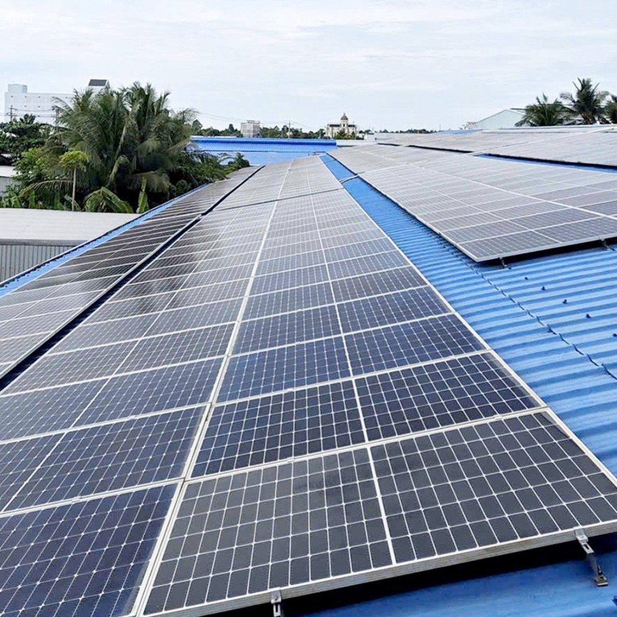 Sở Công Thương TP.HCM: Điện mặt trời mái nhà có xu hướng tăng