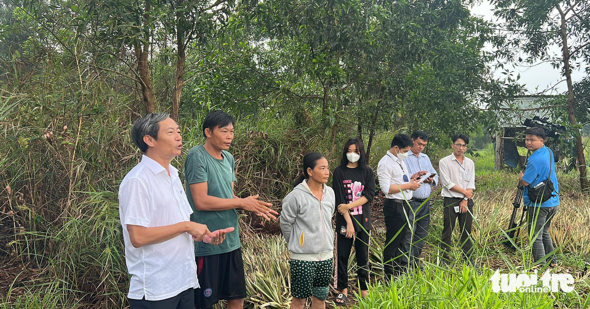 tuoitre.vn