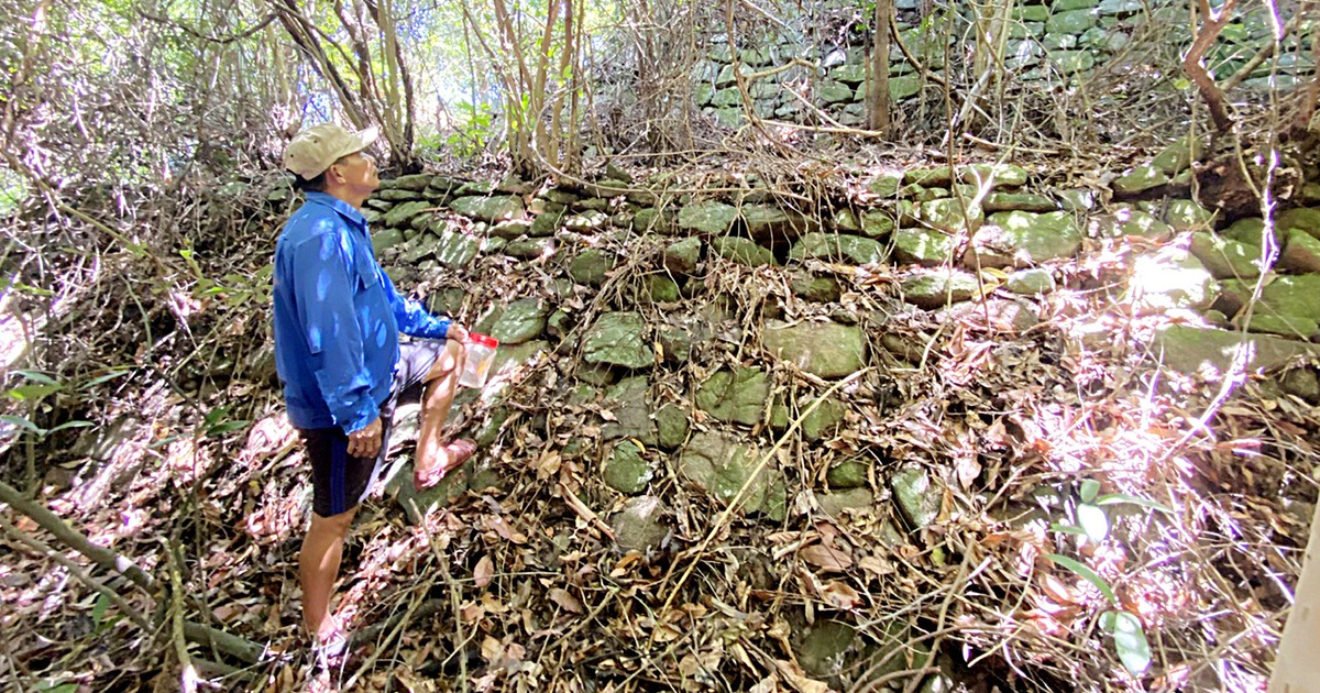 tuoitre.vn