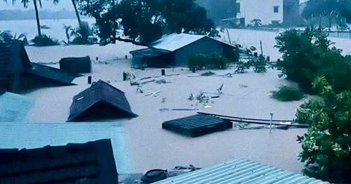 tuoitre.vn