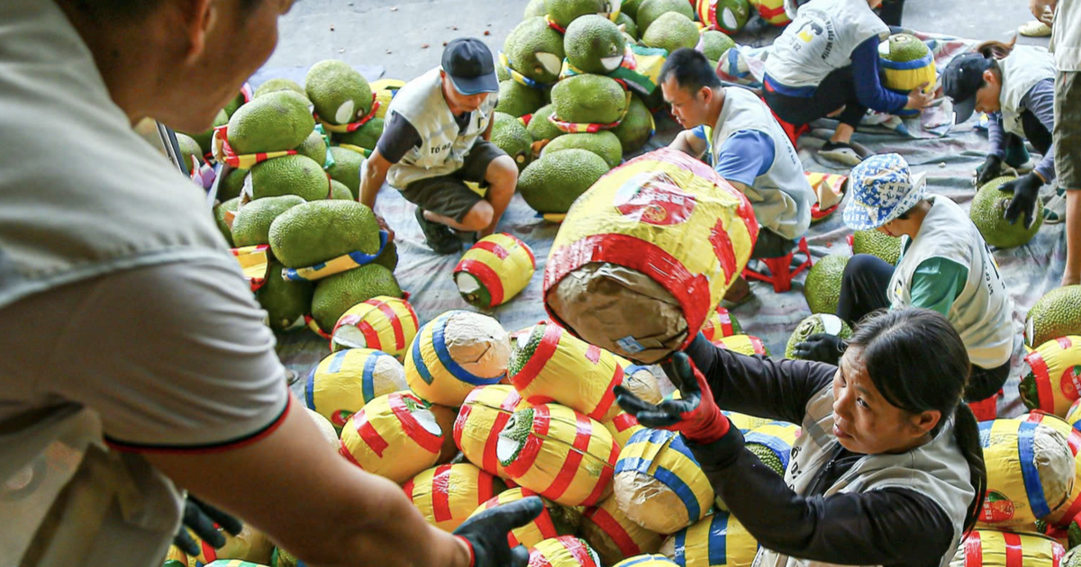 China opens wider door to Vietnam’s fresh jackfruit