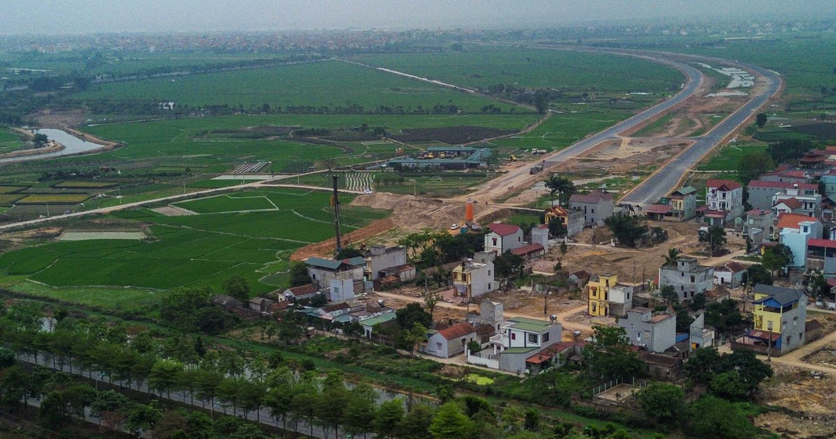 tuoitre.vn