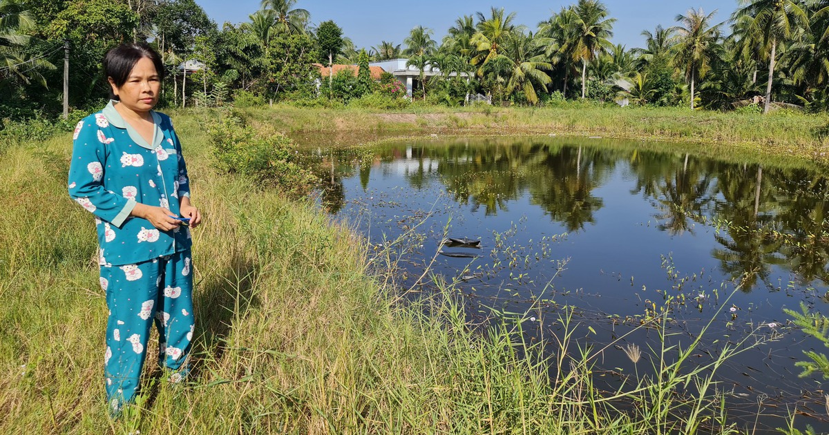 tuoitre.vn